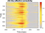 EEG source derived salience network coupling supports real-world attention switching